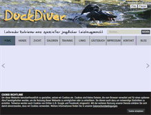 Tablet Screenshot of duck-diver.de